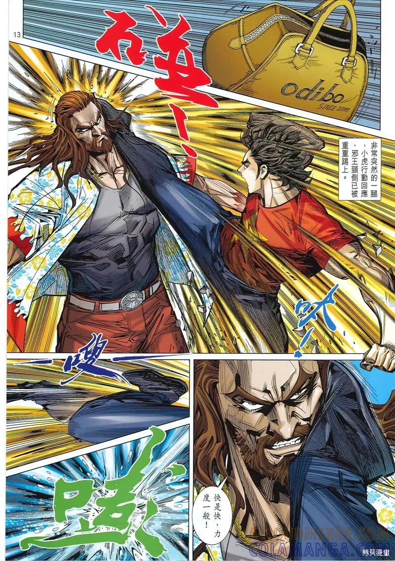第13页