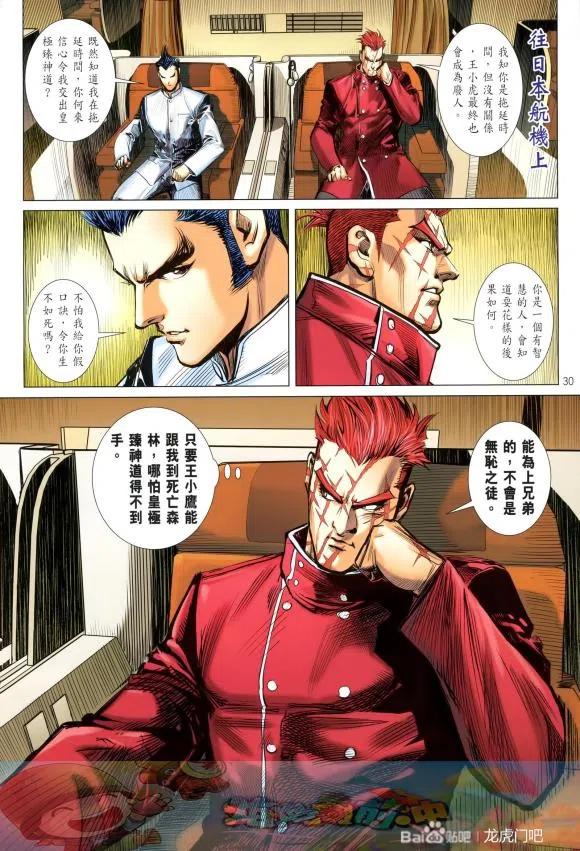 第30页