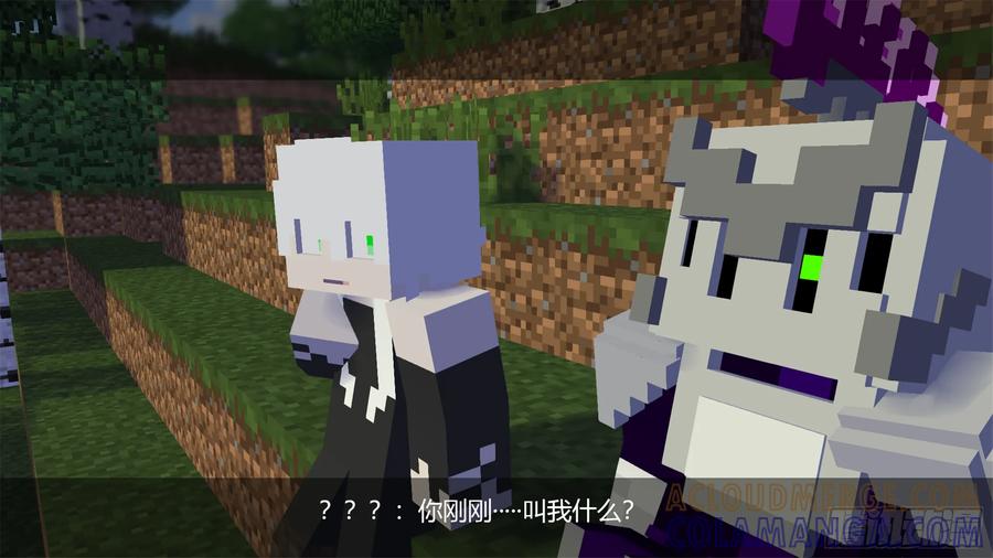 第31页