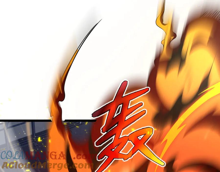 第233页