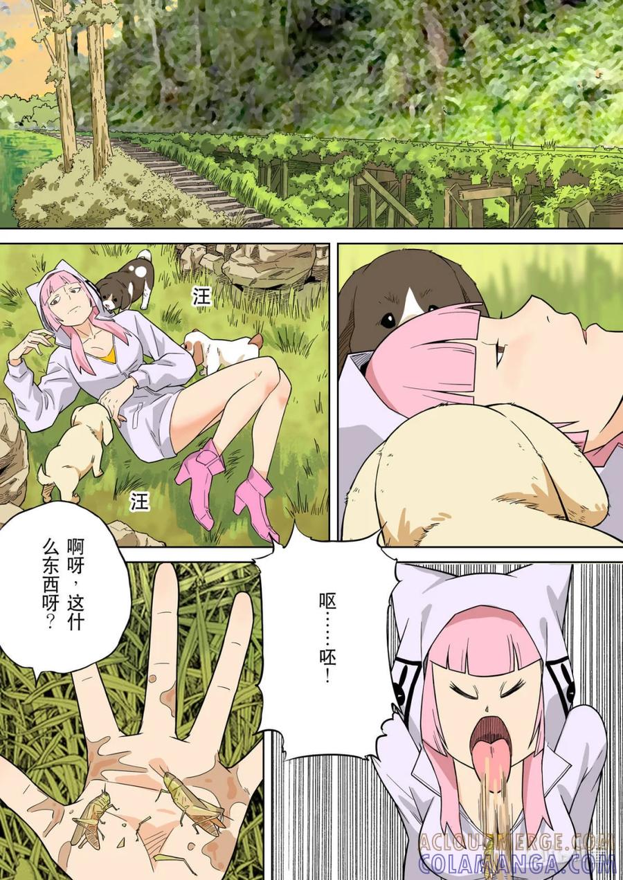 第29页