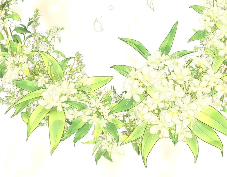 第80页