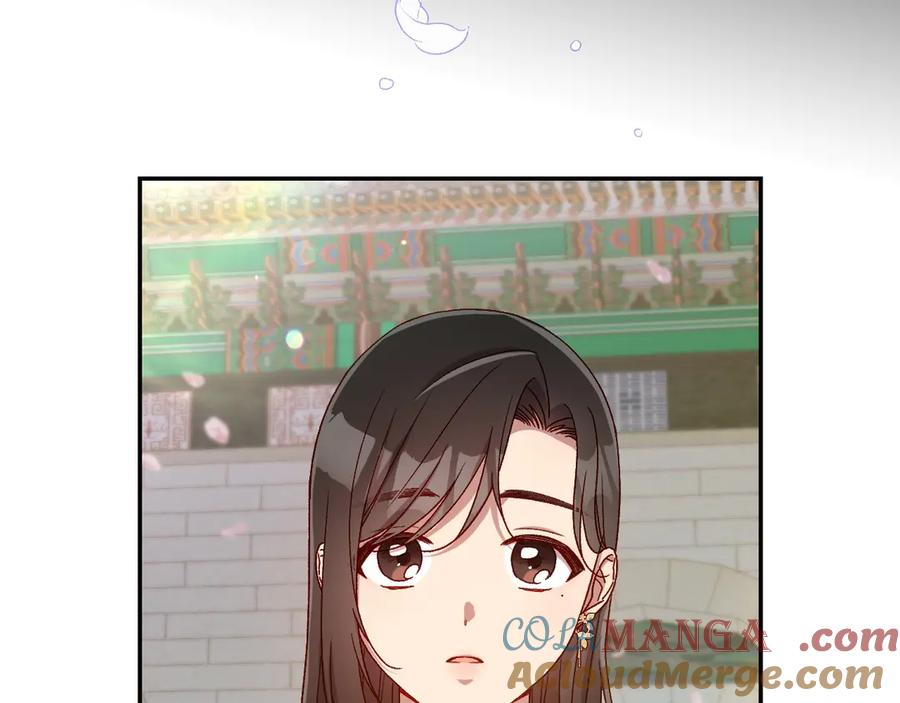 第205页