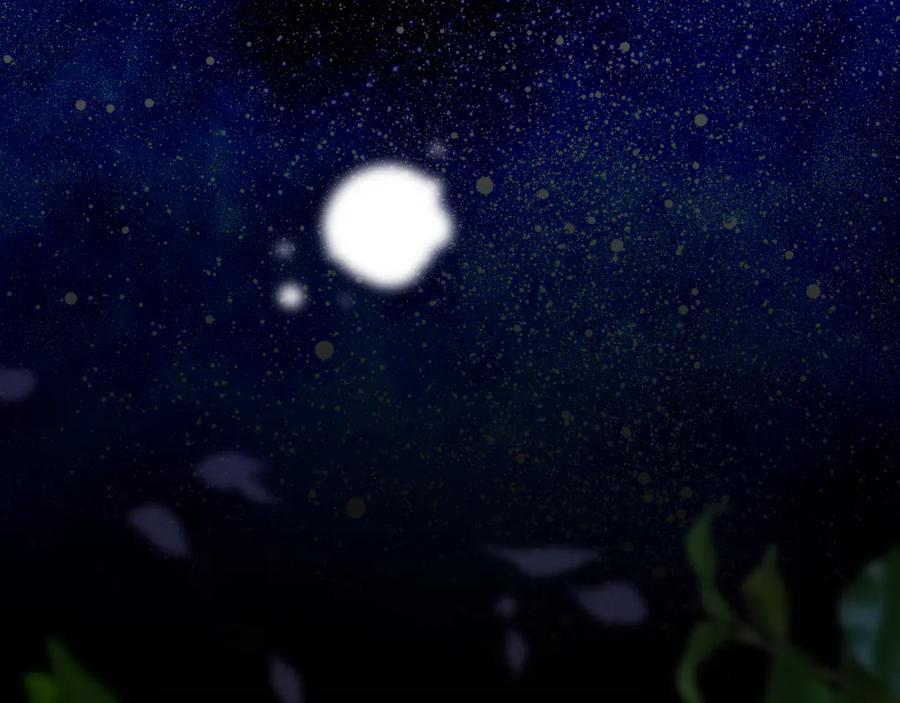 第183页