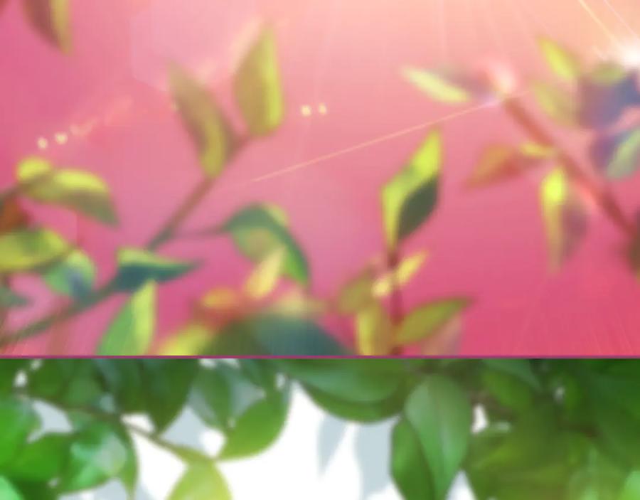 第187页