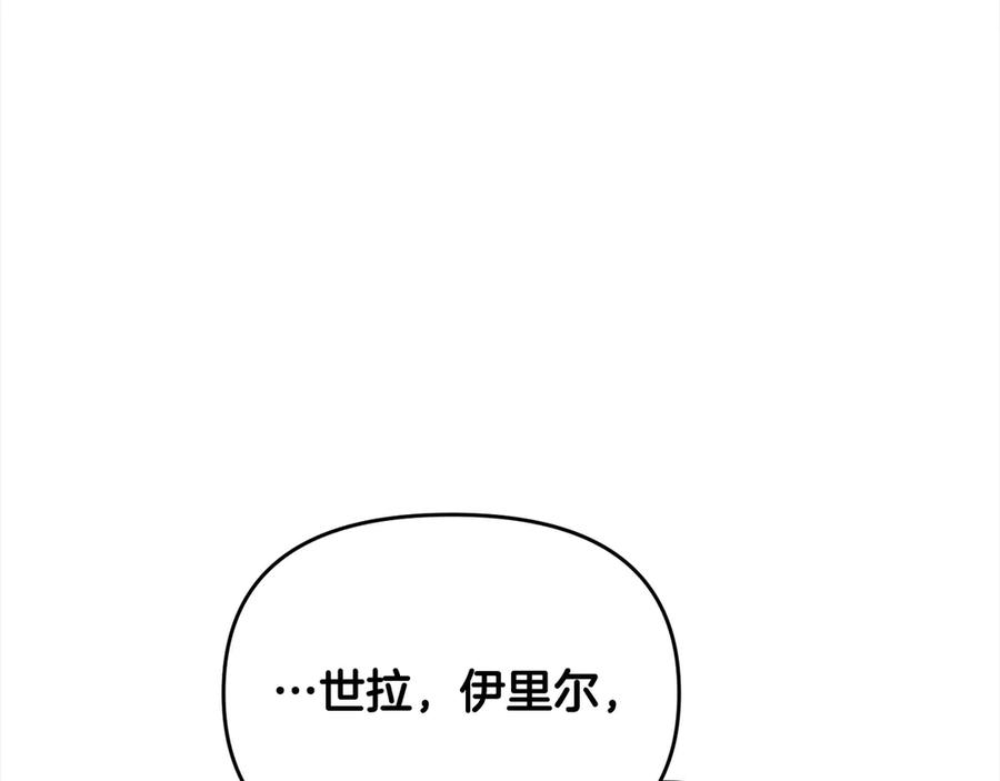 第223页