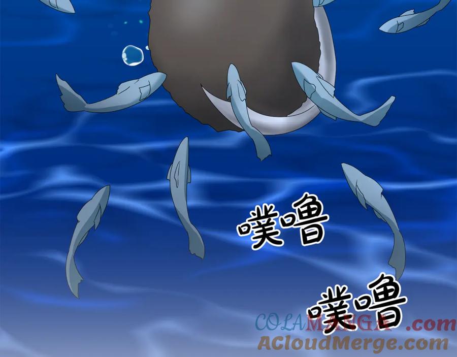 第205页