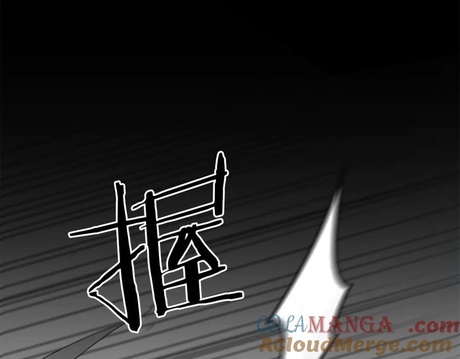 第209页
