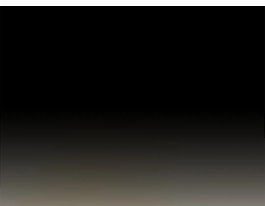 第223页