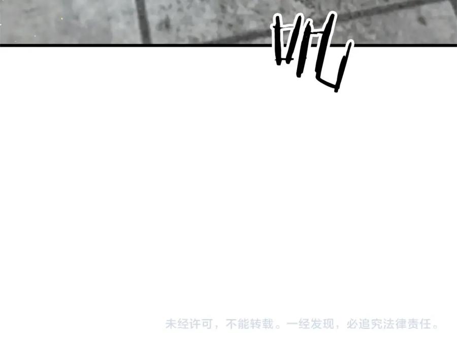 第238页