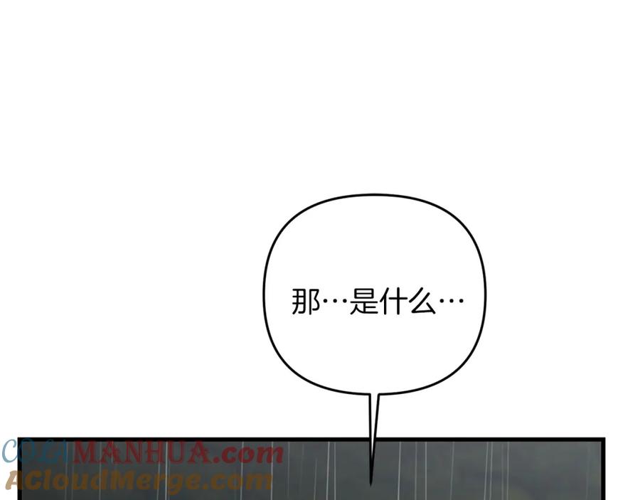 第233页