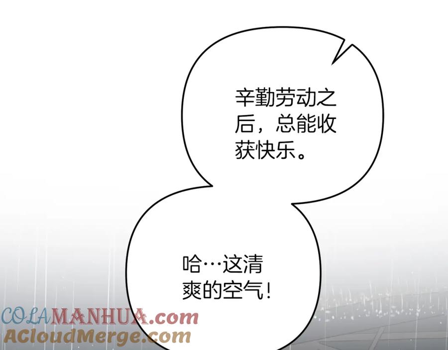 第229页