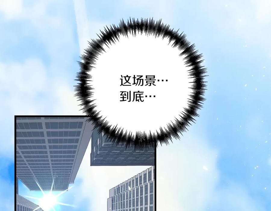 第223页