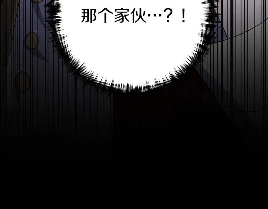 第223页