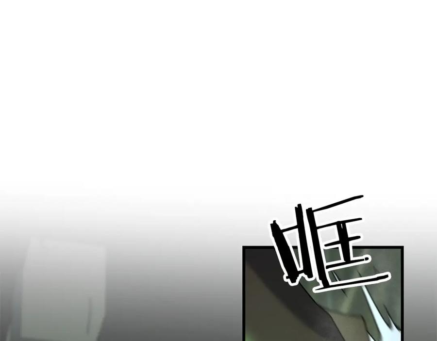 第215页