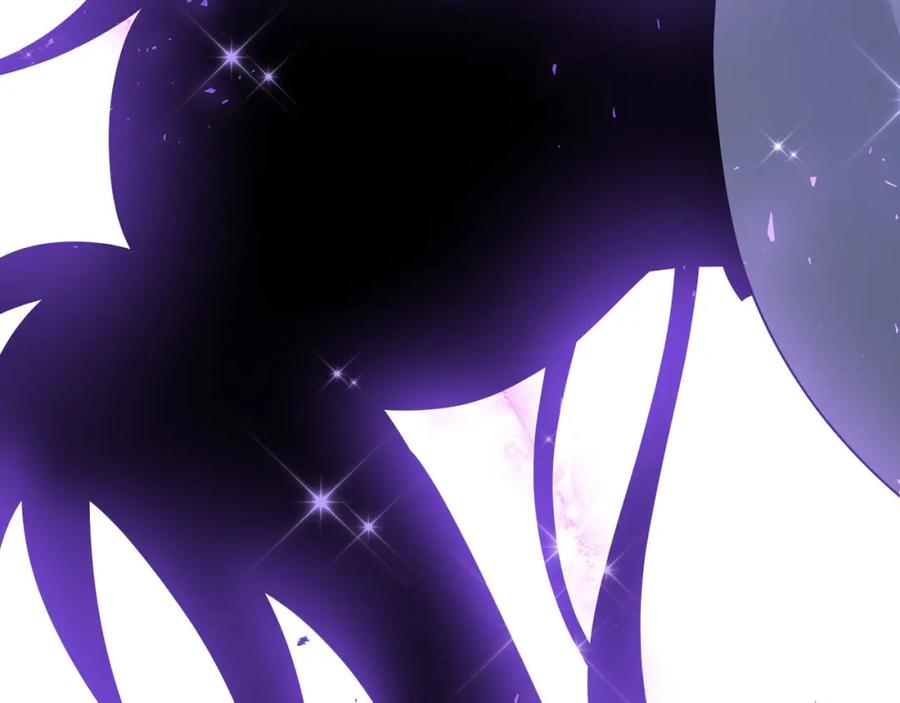 第224页