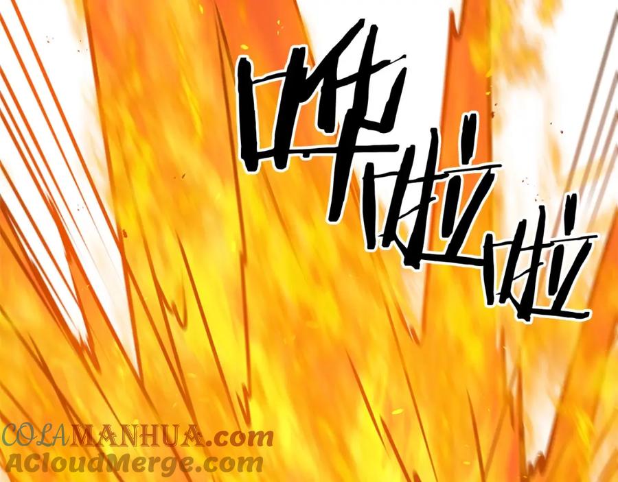 第209页