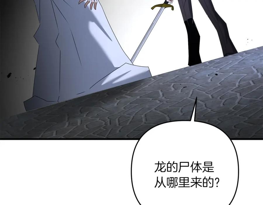 第223页