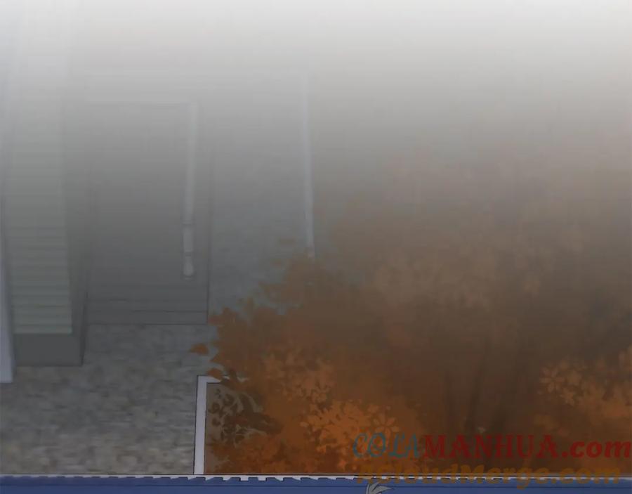 第237页
