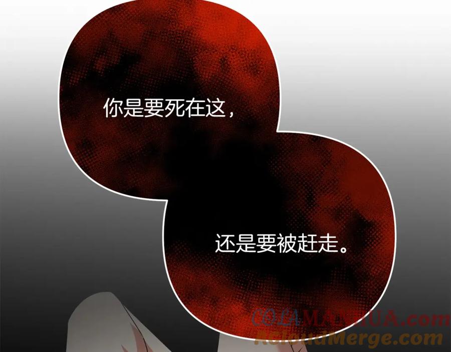 第241页