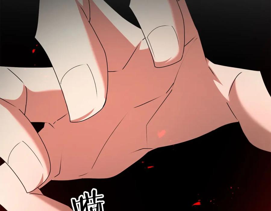 第242页