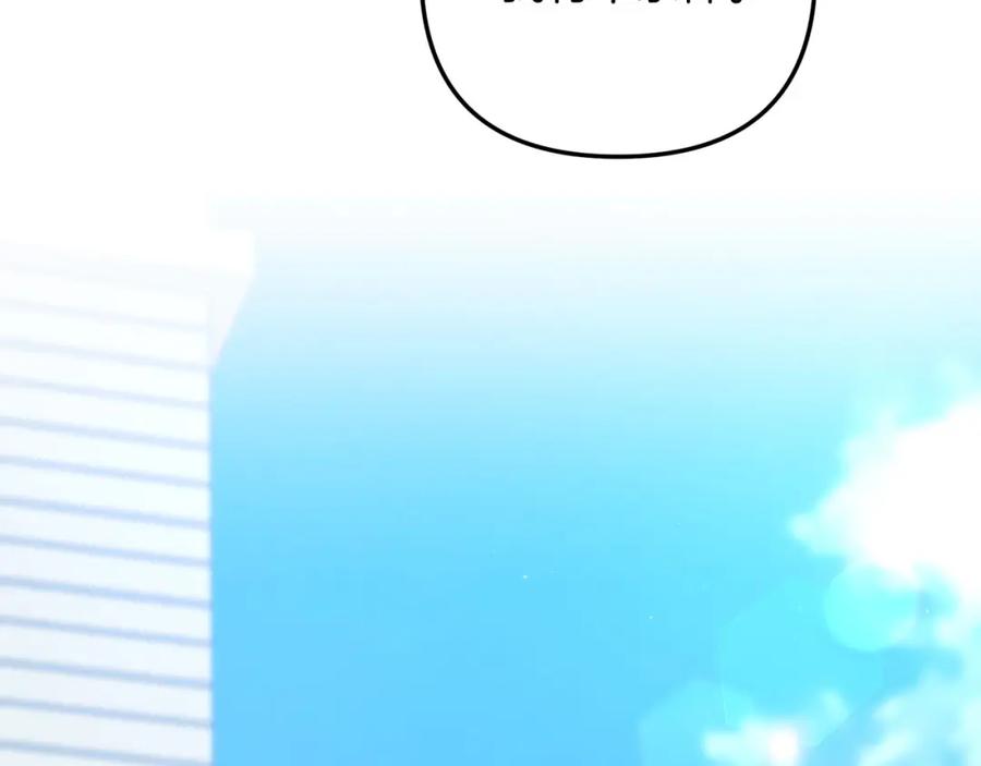 第223页