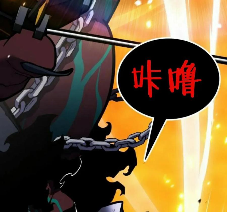 第204页