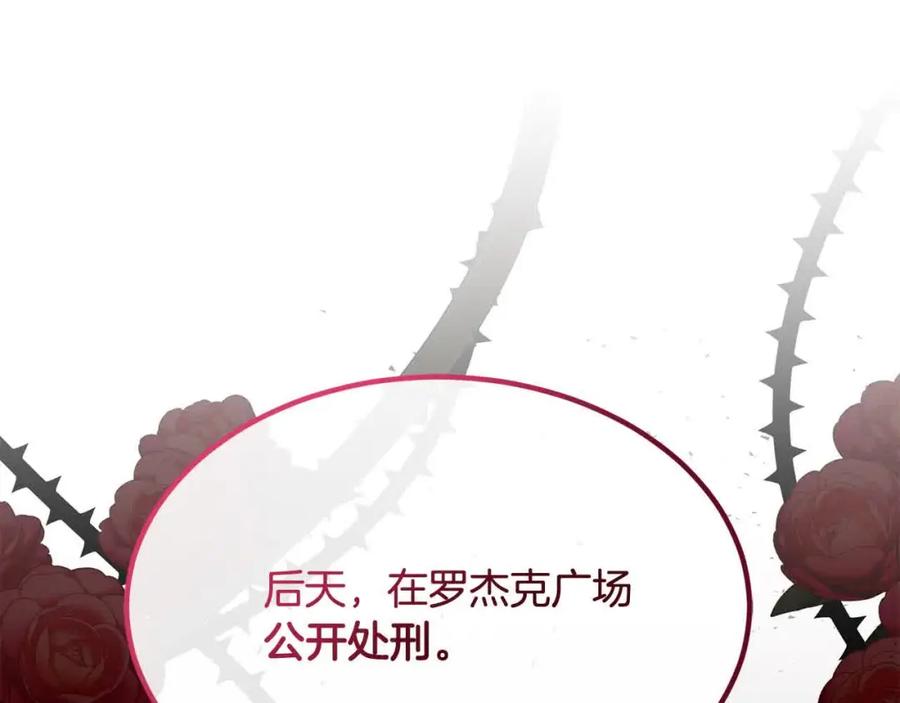 第223页