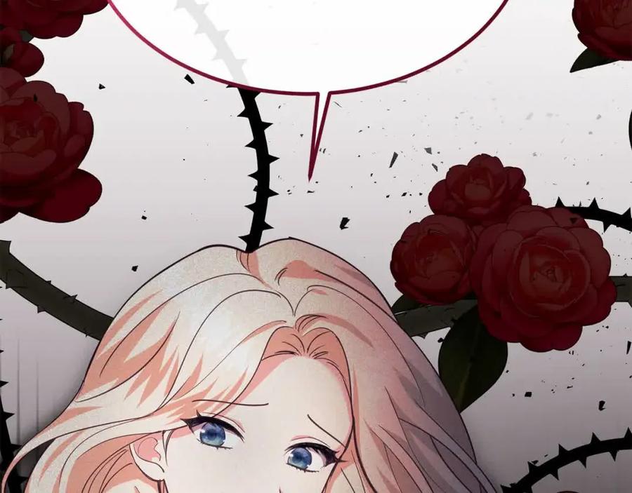 第224页