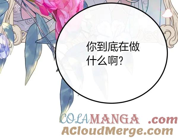 第205页