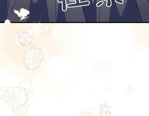 第242页