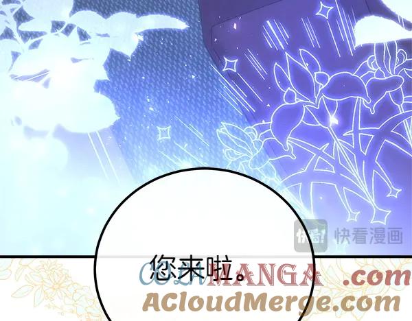 第229页