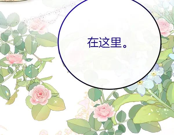 第239页