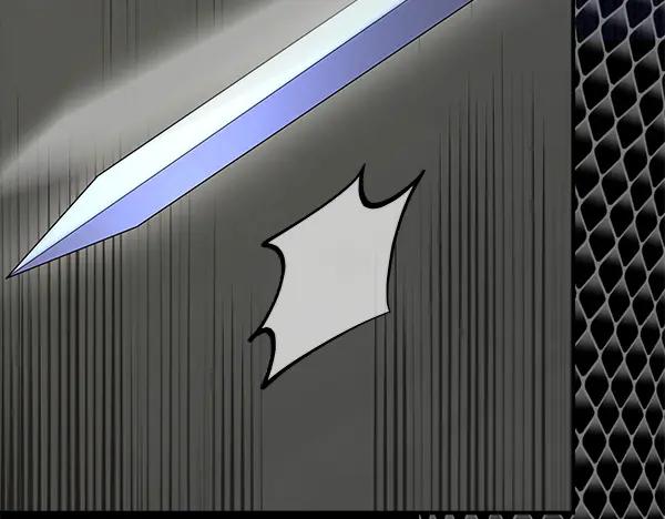 第242页