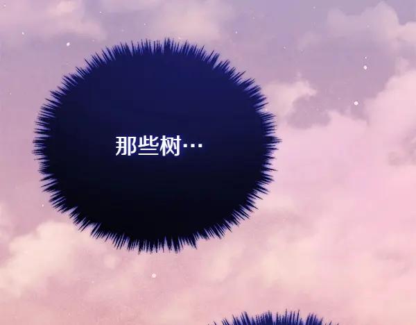第223页