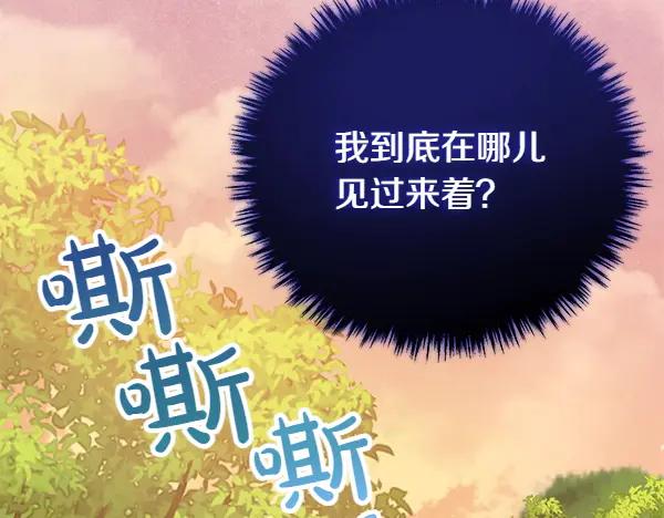 第224页