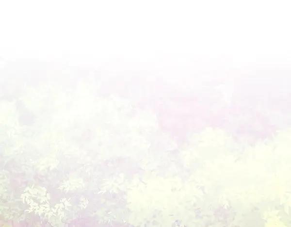 第236页