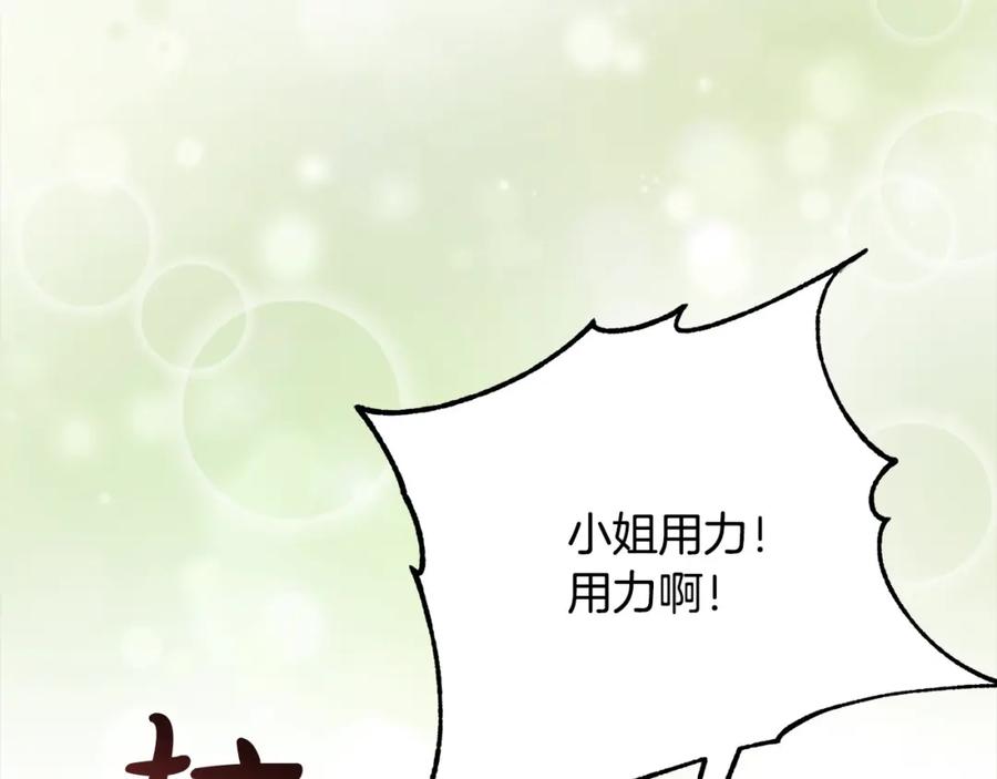 第251页