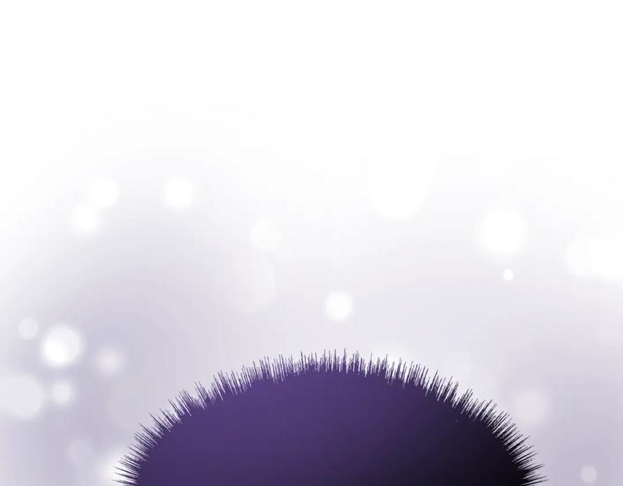 第254页
