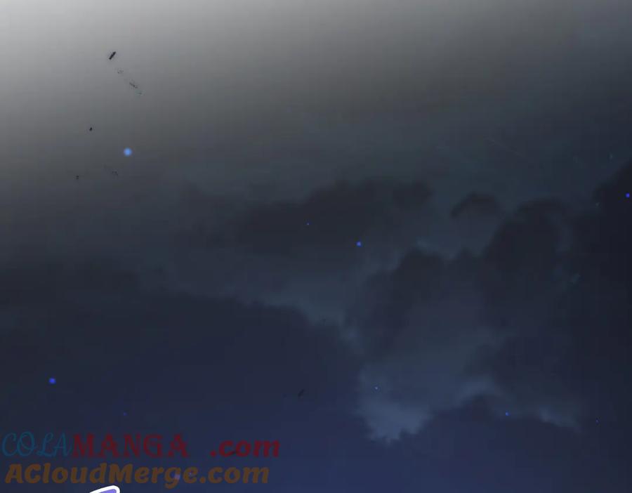 第229页