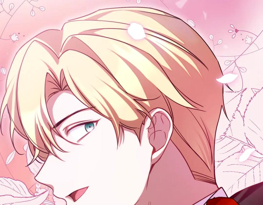 第223页
