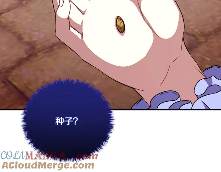 第205页
