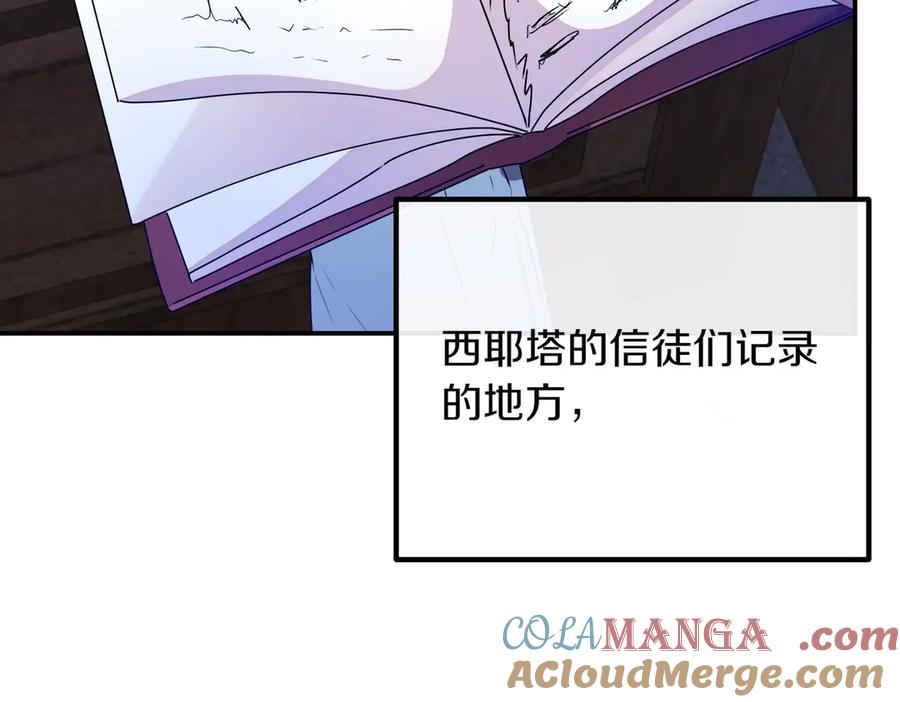 第213页