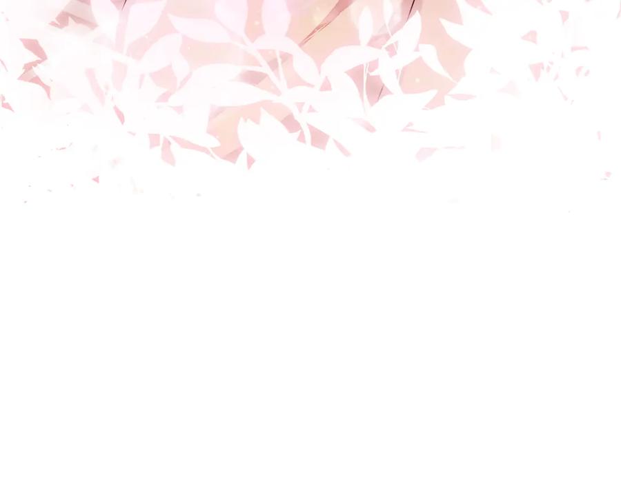 第223页