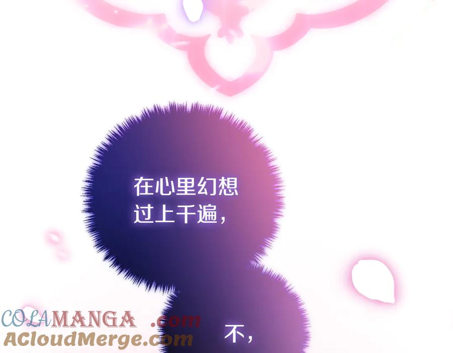 第241页