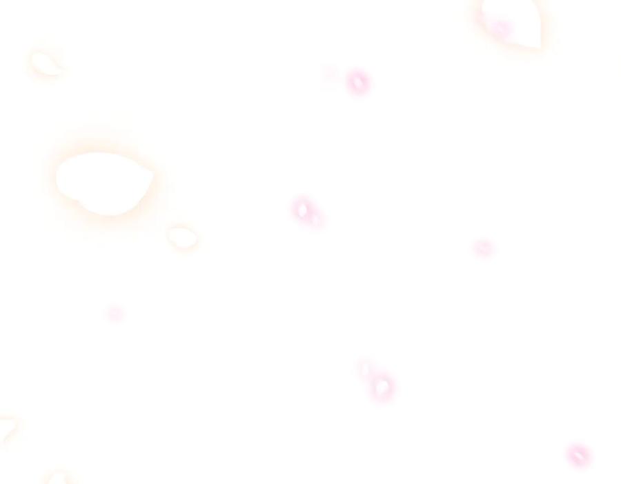 第262页