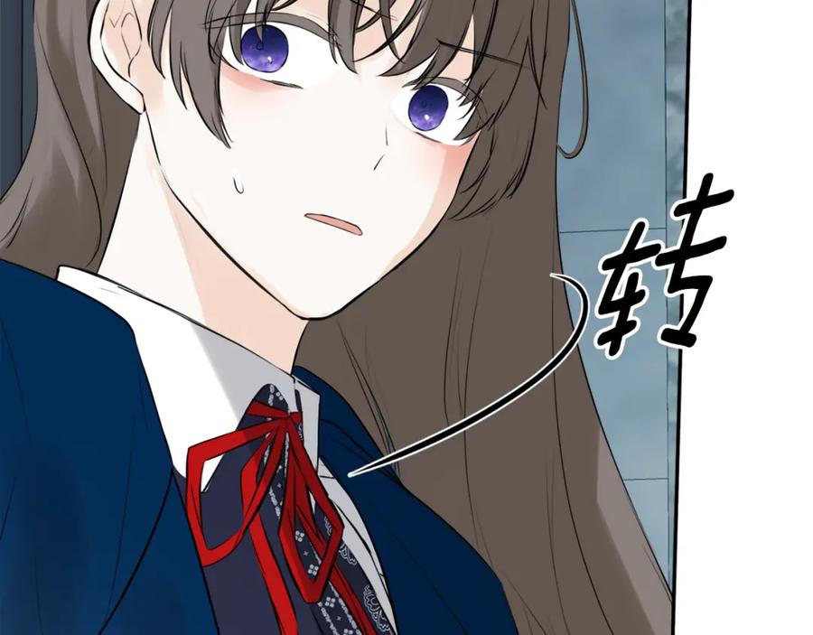 第204页