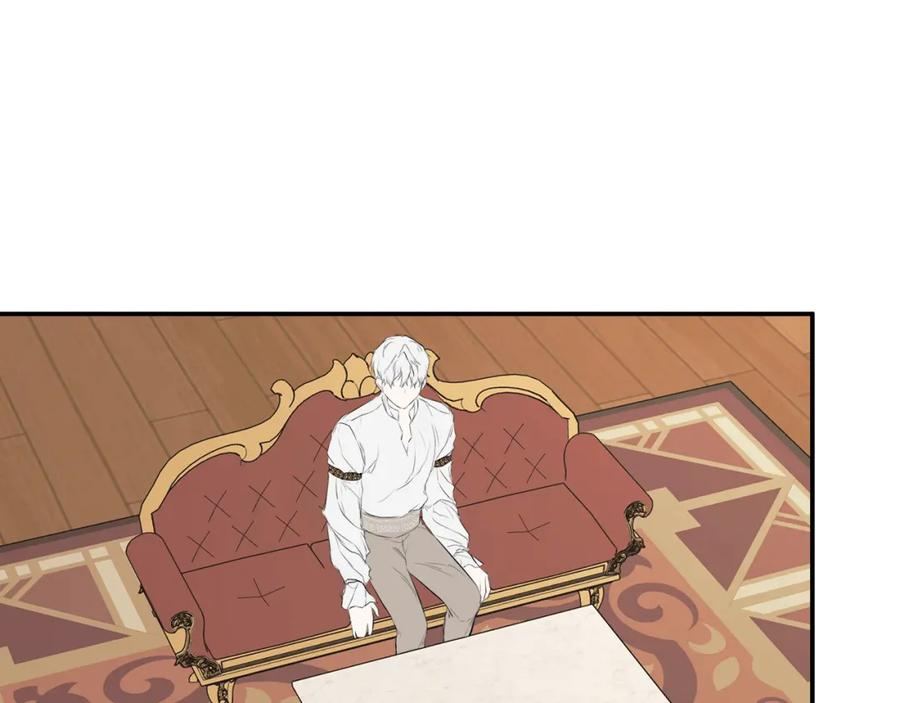 第223页