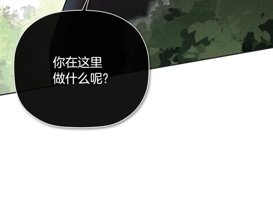 第215页