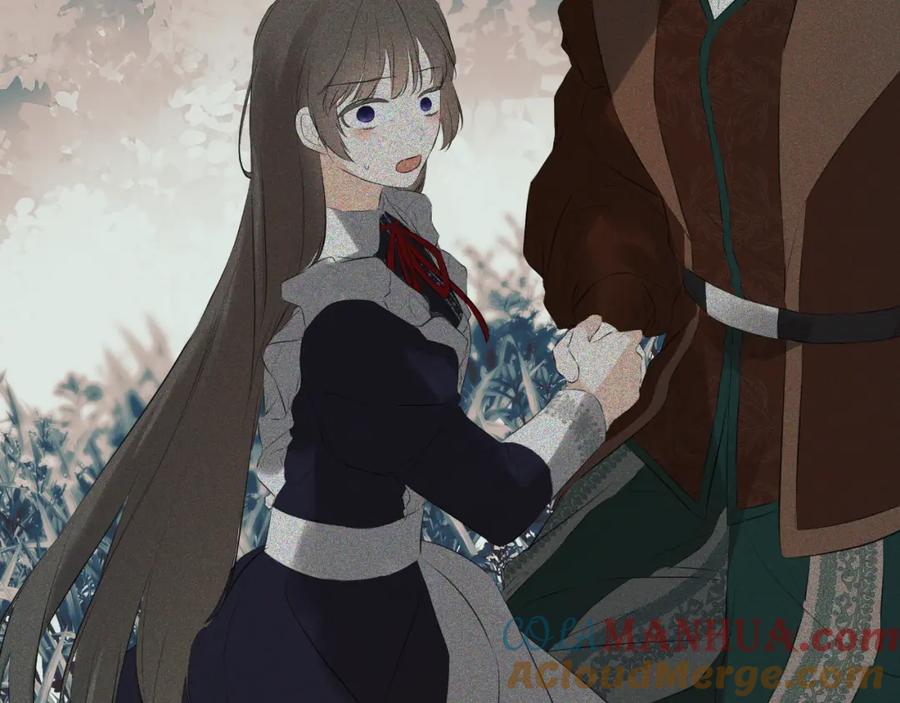 第217页